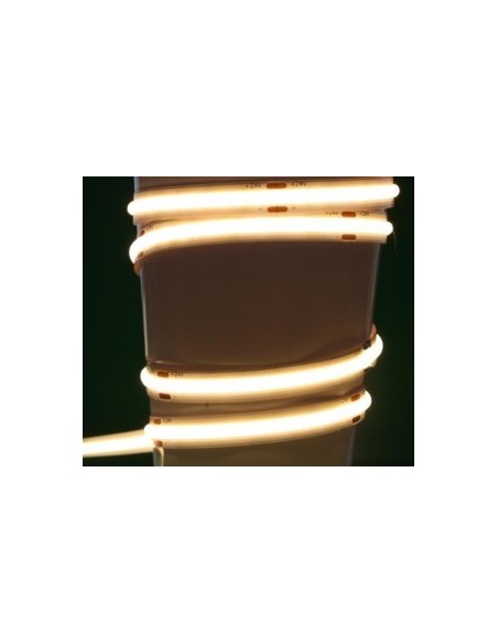 Ruban LED blanc sans points IP66