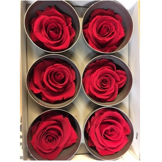 boîte de 6 roses éternelles rouge rose ou bleu