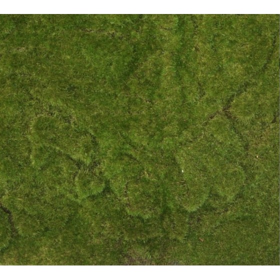 1m2 de mousse artificielle