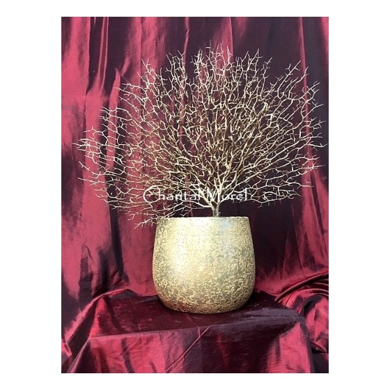 gorgone artificielle avec couleur naturelle