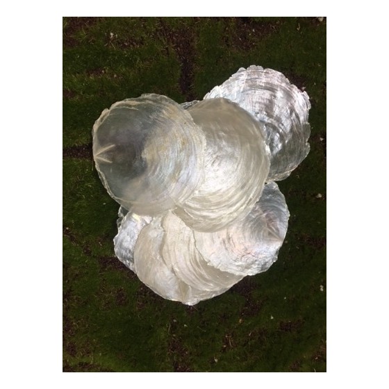 paquet de 200g de nacre