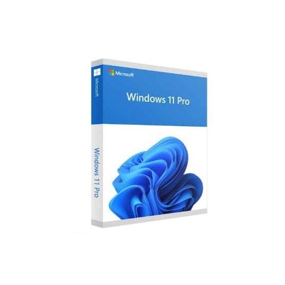 licence numérique WP11 pour terminal de paiement