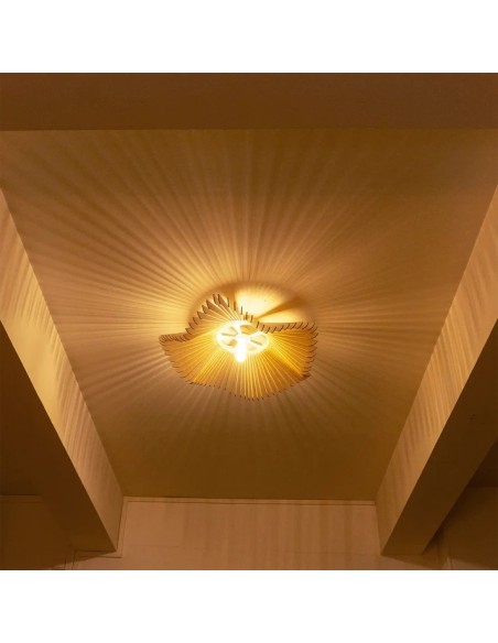 Rose, la poésie florale en lumière au plus près de vos plafonds