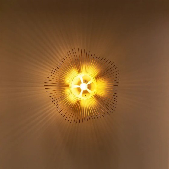 Rose, la poésie florale en lumière au plus près de vos plafonds