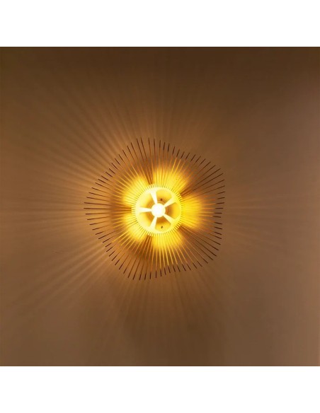 Rose, la poésie florale en lumière au plus près de vos plafonds