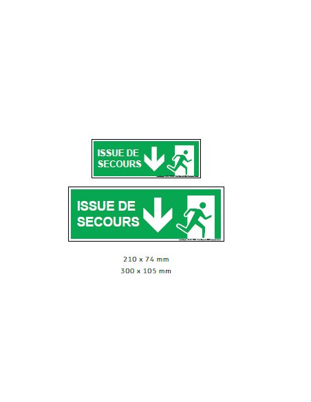 Panonceau Issue de Secours – Affichage obligatoire