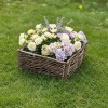 Cache pot naturel en noisetier