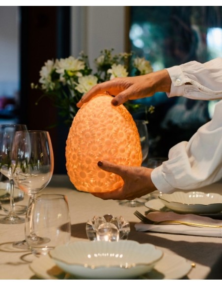 Apportez une lumière au charme naturel avec la lampe Daisy