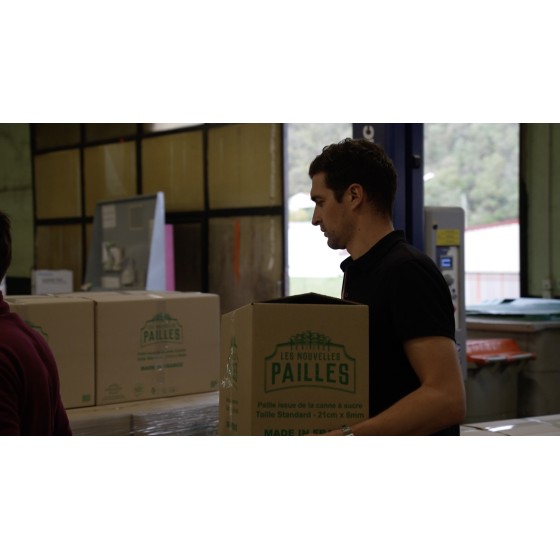 La paille bagasse en canne à sucre qui ne ramollit pas