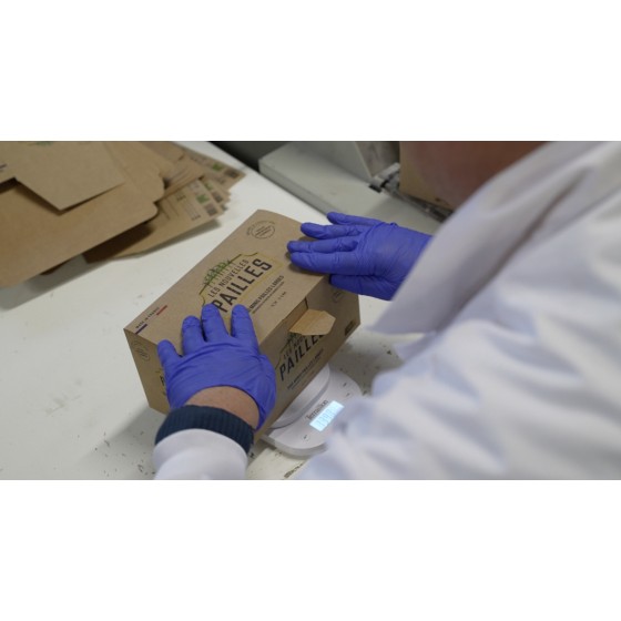 La paille bagasse en canne à sucre qui ne ramollit pas