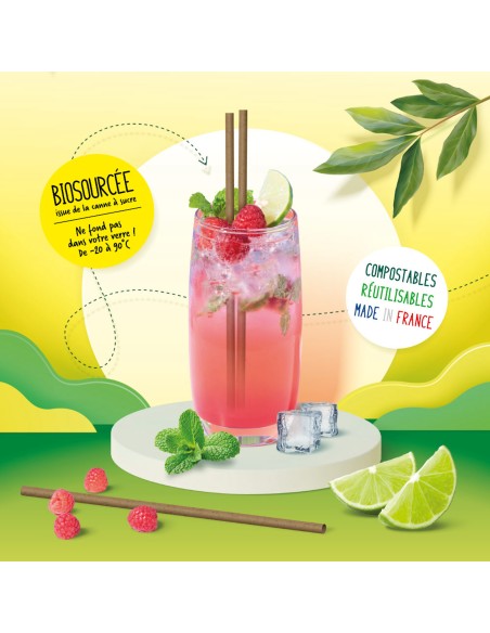 La paille bagasse en canne à sucre qui ne ramollit pas