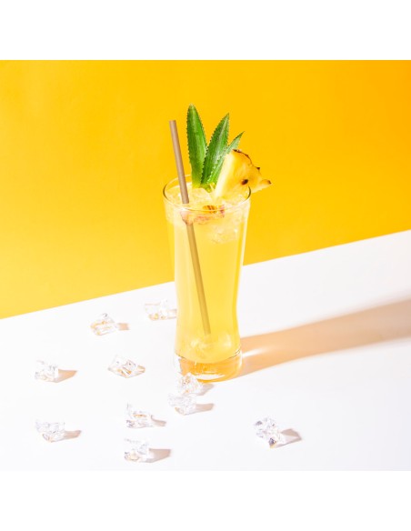 La paille bagasse en canne à sucre qui ne ramollit pas