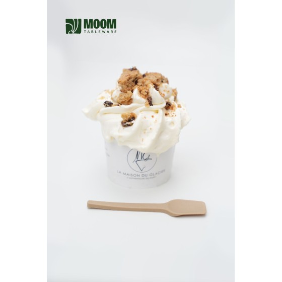 Cuillère à glace biosourcée en canne à sucre made in France 3200 pcs