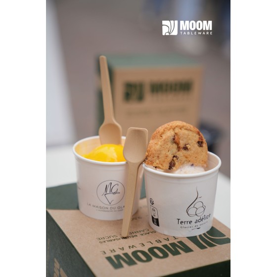 Cuillère à glace biosourcée en canne à sucre made in France 3200 pcs