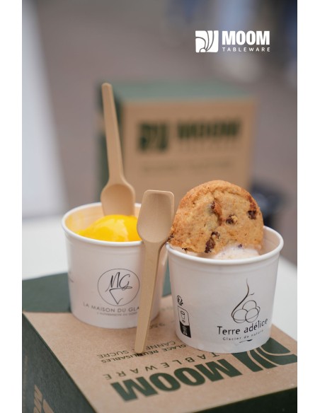 Cuillère à glace biosourcée en canne à sucre made in France 3200 pcs