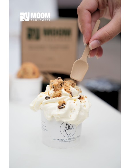 Cuillère à glace biosourcée en canne à sucre made in France 3200 pcs