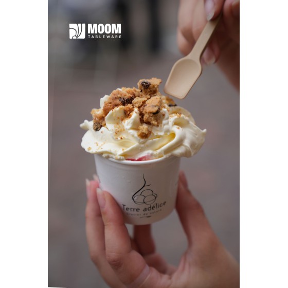 Cuillère à glace biosourcée en canne à sucre made in France 3200 pcs