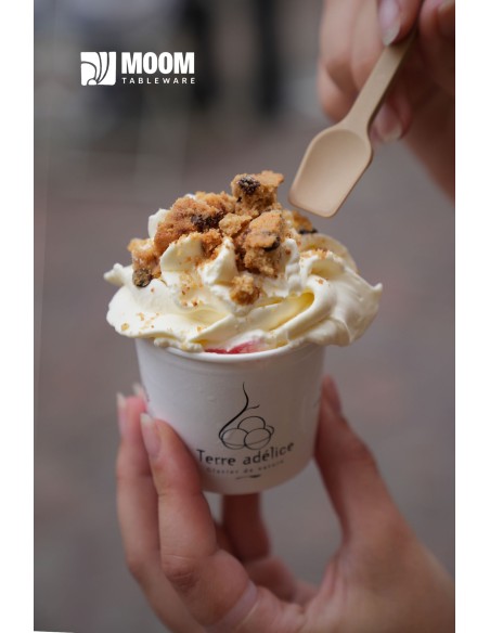 Cuillère à glace biosourcée en canne à sucre made in France 3200 pcs