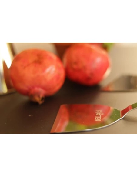 Spatule pour plancha et brasero