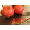 Spatule pour plancha et brasero
